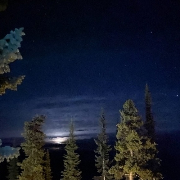 Meet your Posher, S - Picture 1 of 1